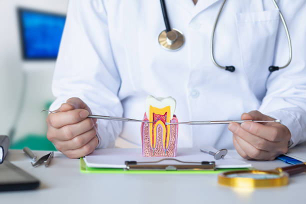 Best Emergency Orthodontic Repairs in Pearl River, MS